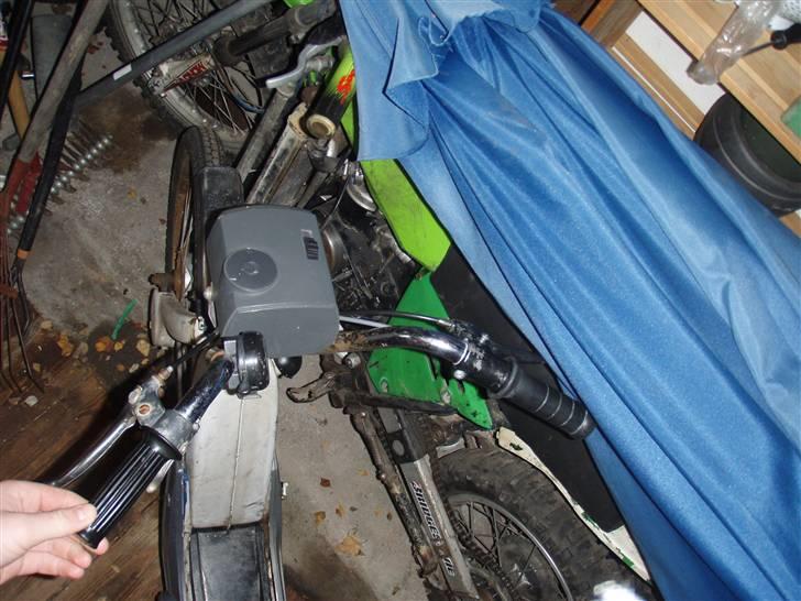 Vespa caio billede 5