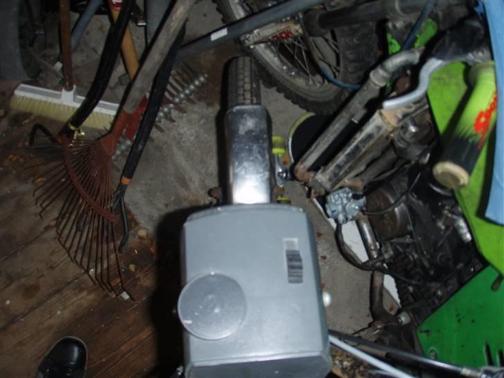 Vespa caio billede 6