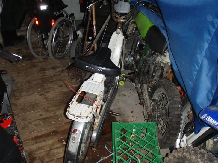 Vespa caio billede 7