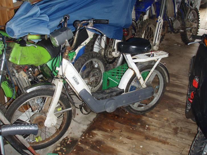 Vespa caio billede 8