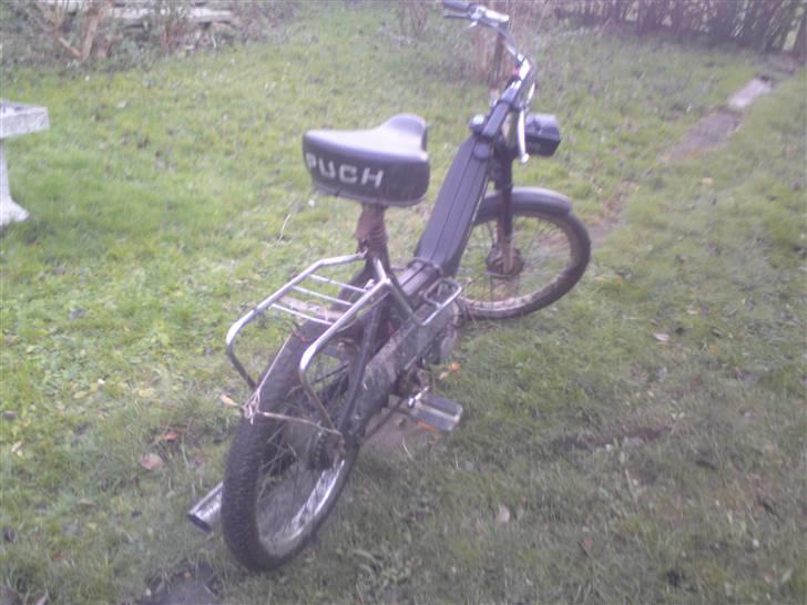Puch Maxi billede 5