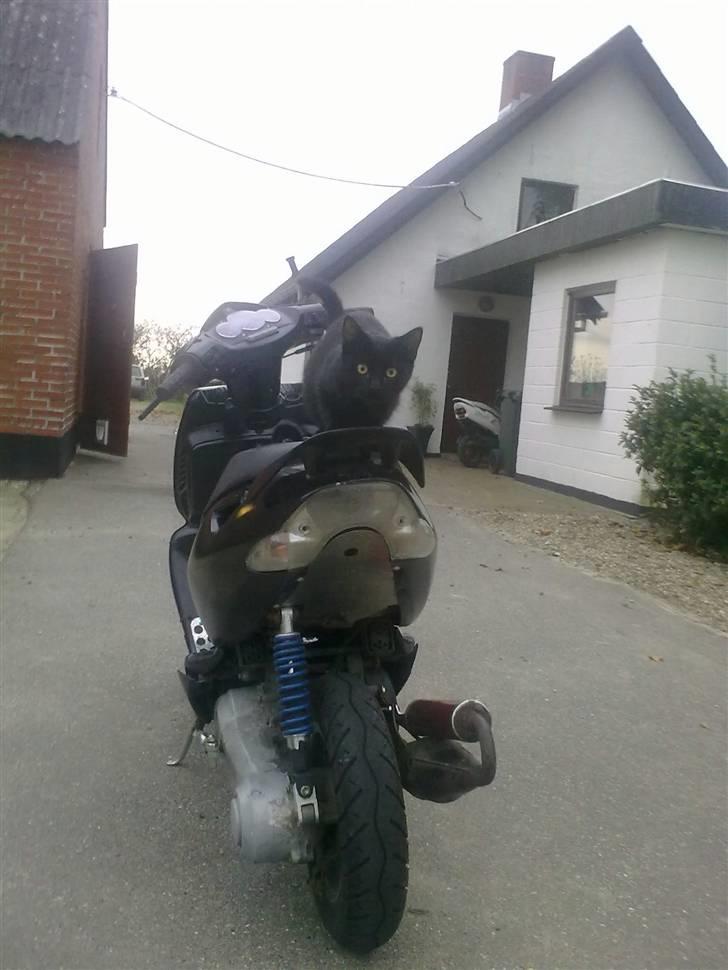 Aprilia Sonic billede 5