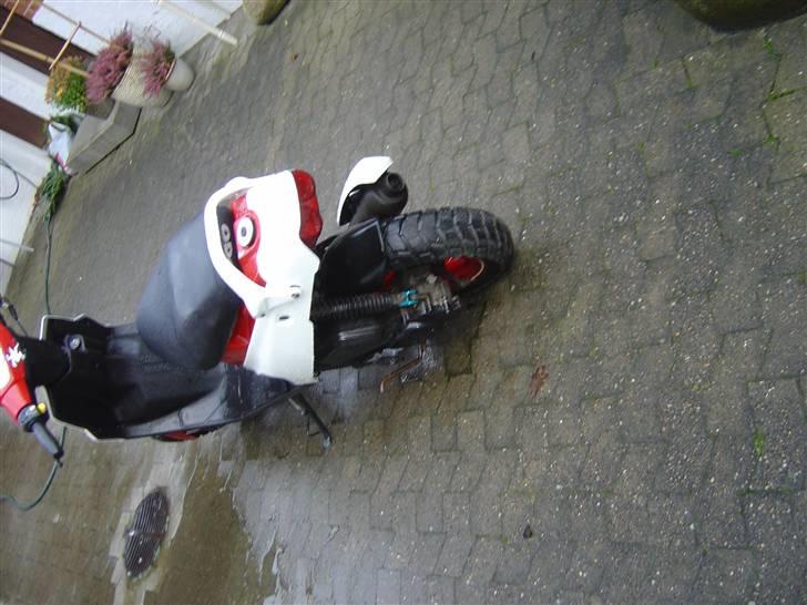 PGO Hot 50            [SOLGT] billede 4