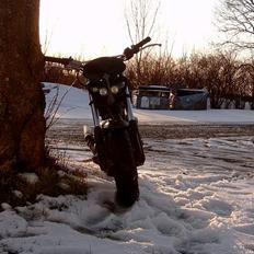 Suzuki Street magic..