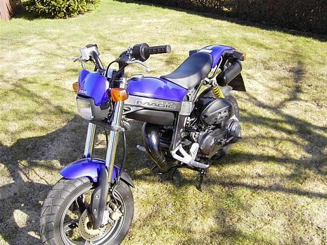 Suzuki Street Magic - Solgt billede 2