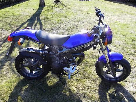 Suzuki Street Magic - Solgt billede 4