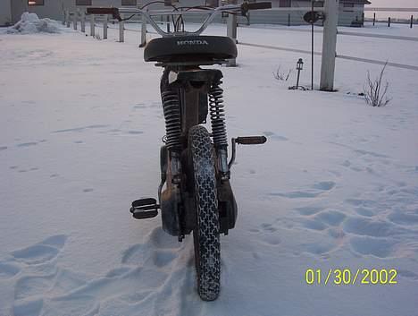 Honda camino - dejlig høj i røven billede 6