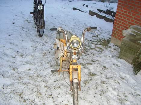 Honda express (det rustne lyn) billede 3