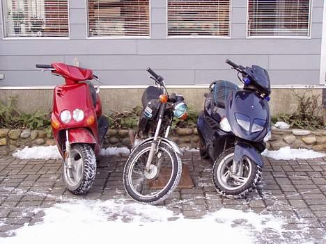 PGO Dr. Big billede 4