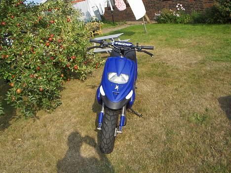 Gilera stalker- solgt - scooter-shoppens kvalitet. NOT. totalt smadret(malossi sport) billede 7
