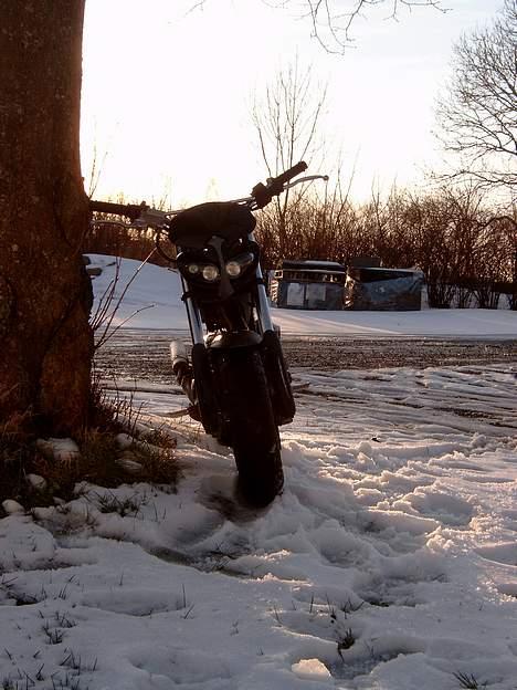 Suzuki Street magic.. billede 1