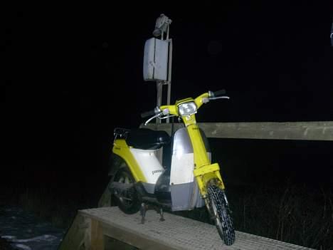 Yamaha passola billede 4