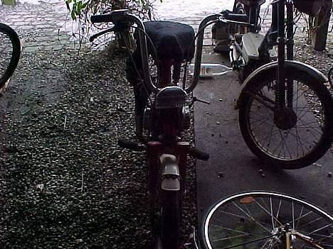 Honda Express (solgt) billede 6