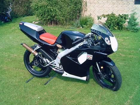 Aprilia RS 50 billede 4
