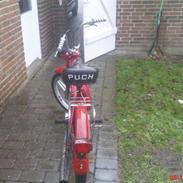 Puch maxi (FØR)