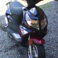 Skyteam bautian taget af politiet