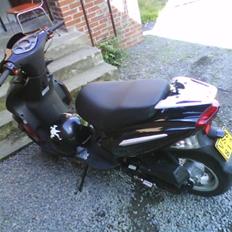 Skyteam bautian taget af politiet