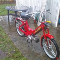 Puch maxi (FØR)