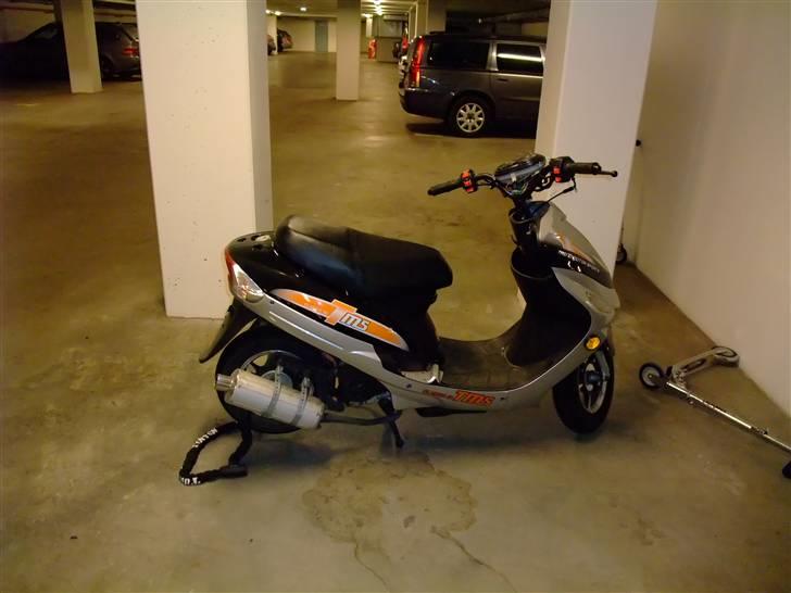 TM tm tms classic billede 2