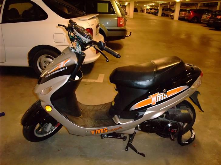 TM tm tms classic billede 4