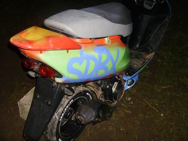 Honda SFX - Skråt højre bagfra d:  billede 16