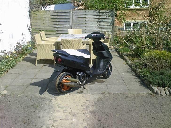 Honda sfx billede 6