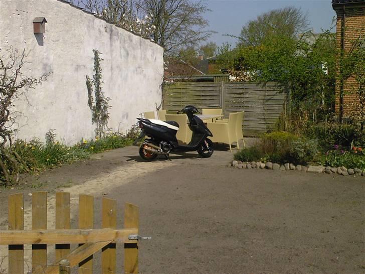 Honda sfx billede 8