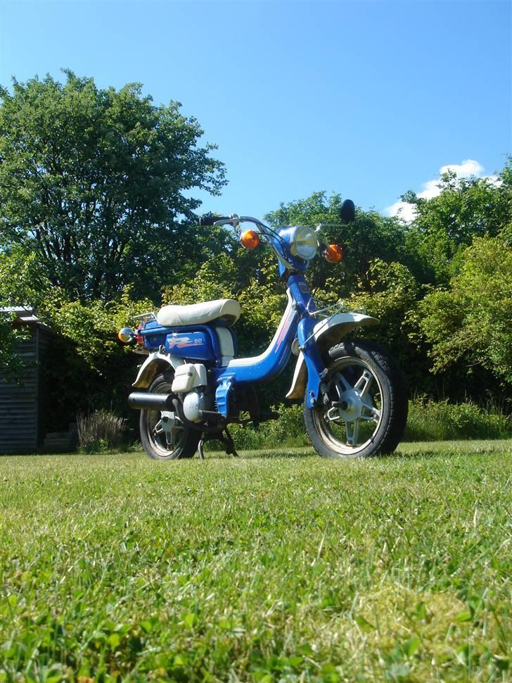 Suzuki FZ50 - SOLGT - 12/05 - 2009 billede 11