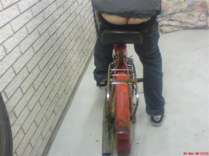 Puch maxi k"Det røde svin" DØD billede 4