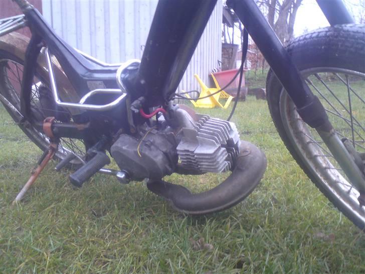 Puch Maxi  - før billede 3