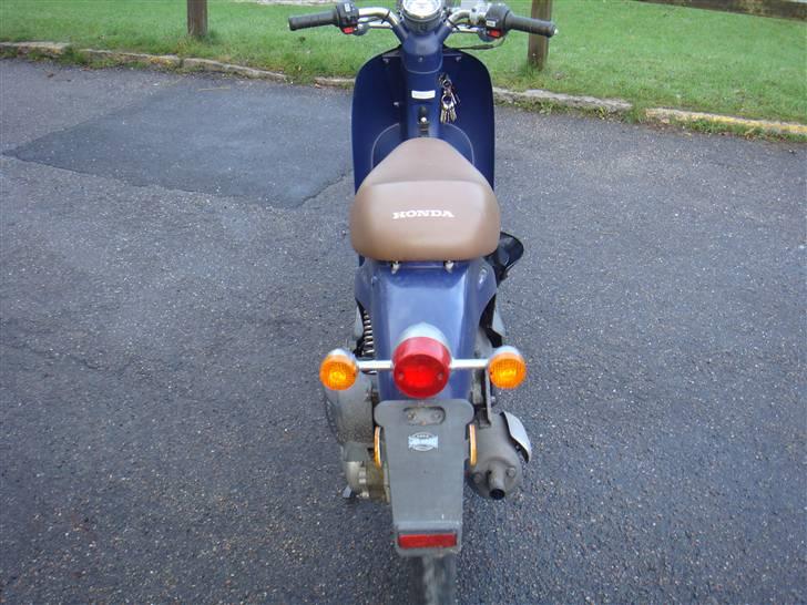 Honda Sky Classic billede 8