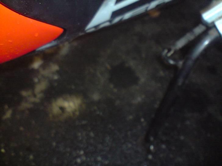 CPI GTR. Lc DD Solgt billede 4