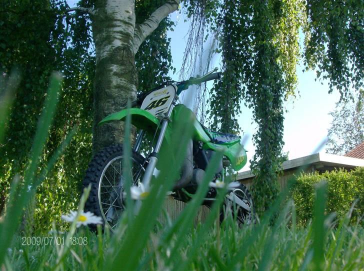 Kawasaki KX 65ccm solgt  - nu =) billede 3