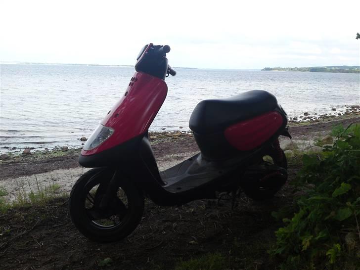 Yamaha Space billede 11