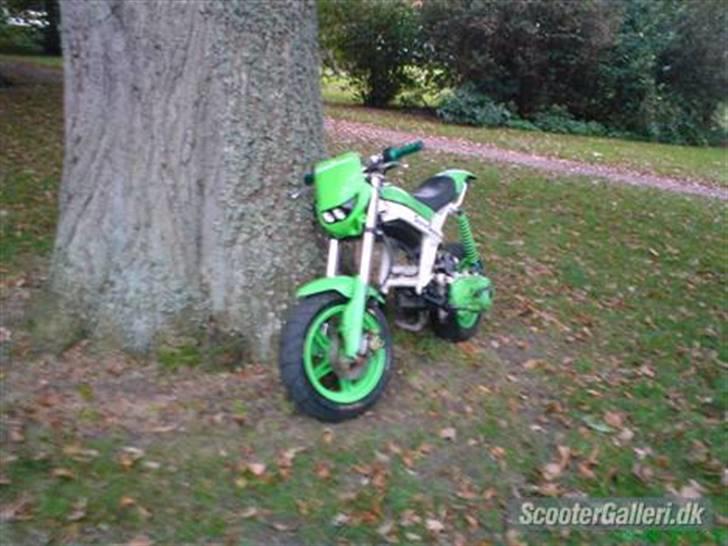 Suzuki Street Magic * Projekt * billede 12