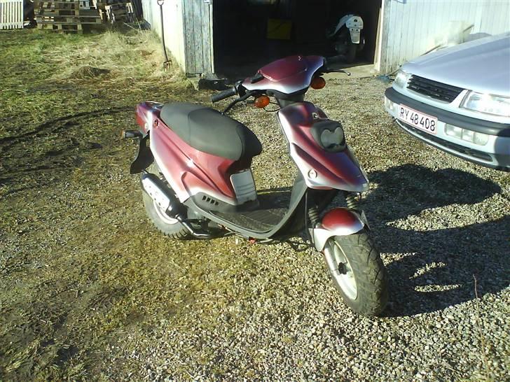 PGO Hot 50 (Solgt) billede 1