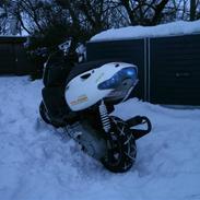 Aprilia Sonic TS LC //SOLGT//