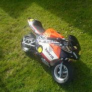 Honda Pocketbike