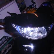 Giantco Sprint SOLGT!