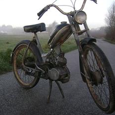 Sco Populær - solgt