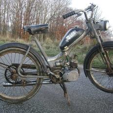 Sco Populær - solgt