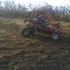 P. Lindberg  buggy (bente power)
