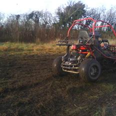 P. Lindberg  buggy (bente power)