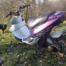 PGO dr big ´TIL SALG!