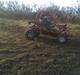 P. Lindberg  buggy (bente power)