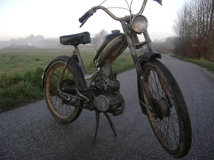 Sco Populær - solgt billede 2