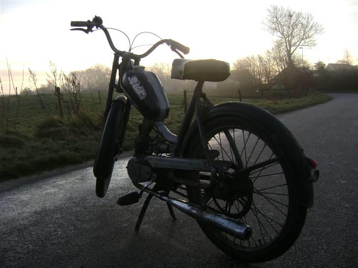 Sco Populær - solgt billede 4