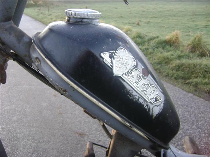 Sco Populær - solgt billede 6