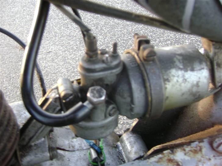 Sco Populær - solgt billede 7