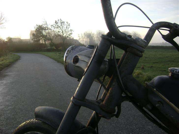 Sco Populær - solgt billede 8